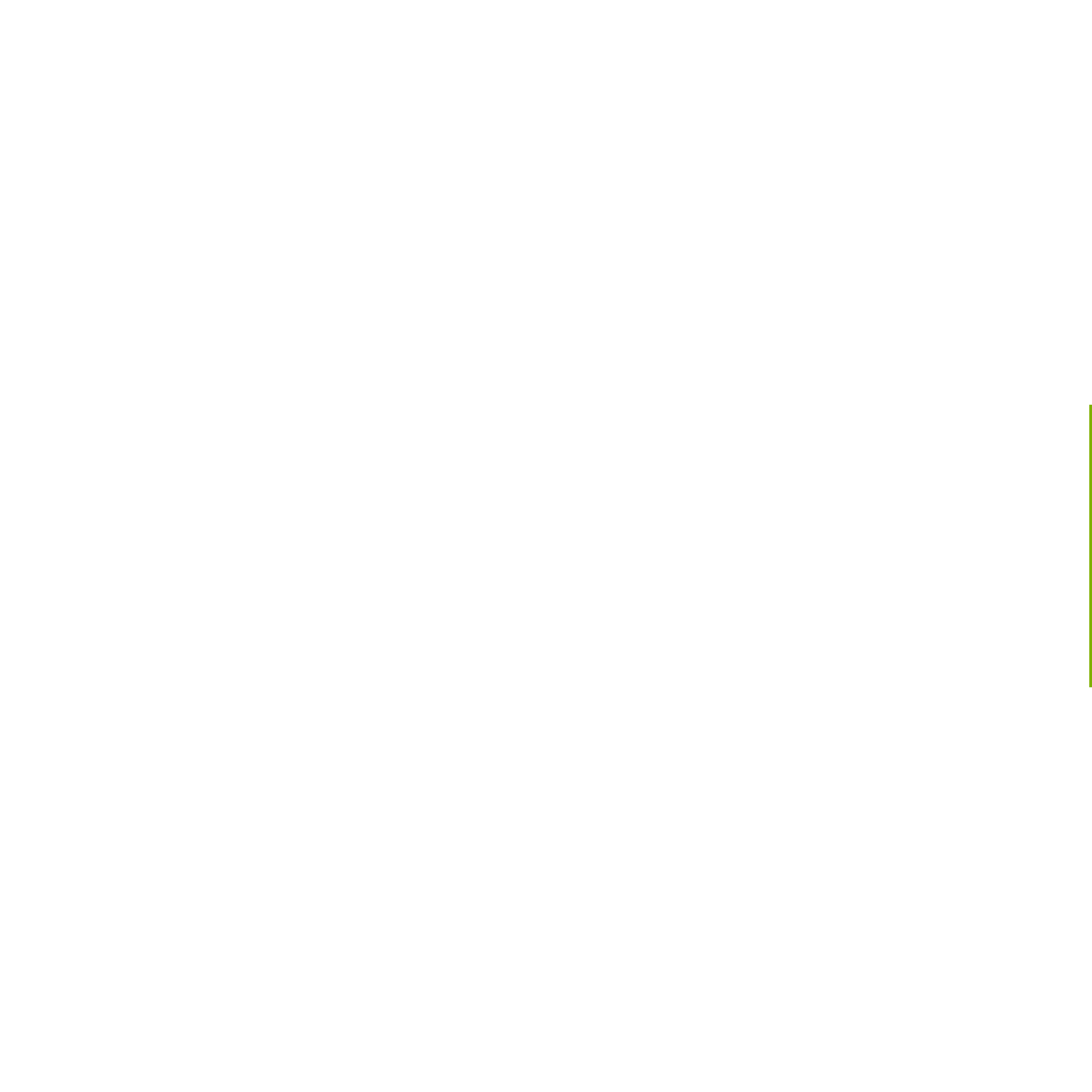 Internal Revenue Service Challenge Coin IRS Challenge Coin